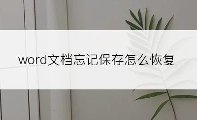 word文档忘记保存怎么恢复