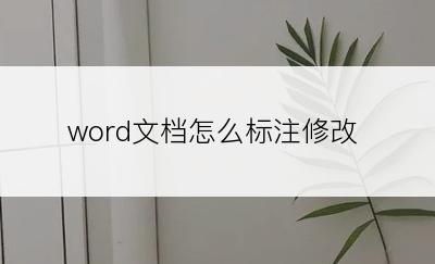 word文档怎么标注修改