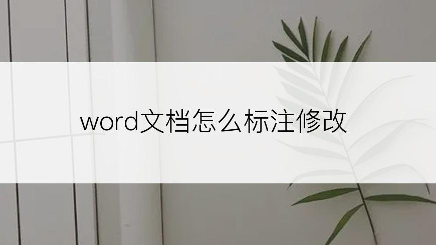 word文档怎么标注修改