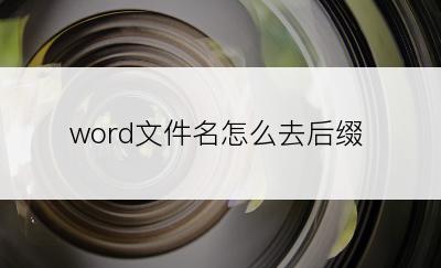 word文件名怎么去后缀