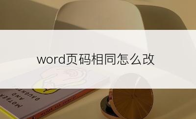 word页码相同怎么改