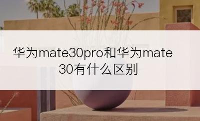 华为mate30pro和华为mate30有什么区别