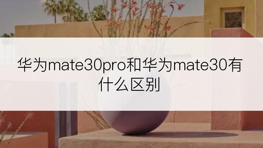 华为mate30pro和华为mate30有什么区别