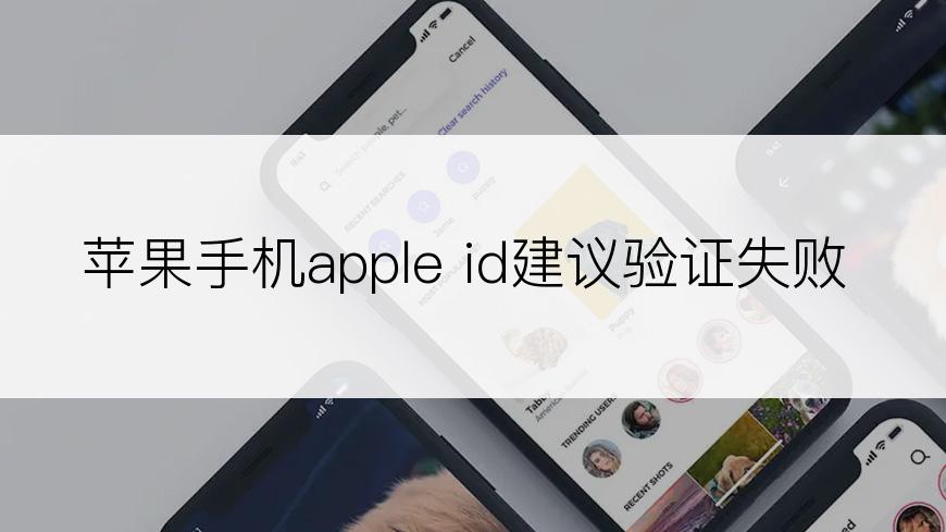 苹果手机apple id建议验证失败