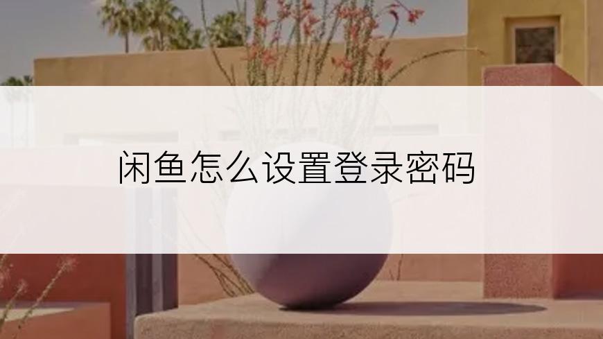 闲鱼怎么设置登录密码