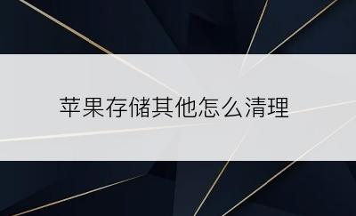 苹果存储其他怎么清理