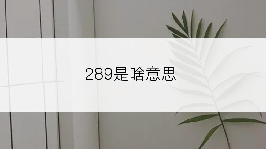 289是啥意思