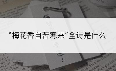 “梅花香自苦寒来”全诗是什么