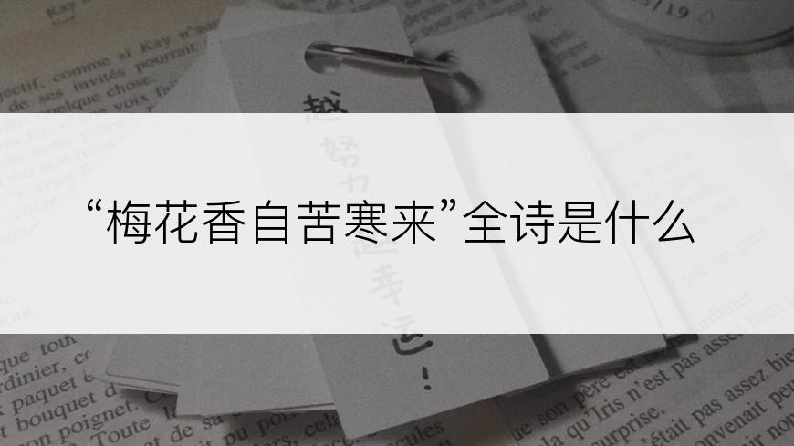 “梅花香自苦寒来”全诗是什么