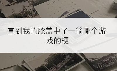 直到我的膝盖中了一箭哪个游戏的梗