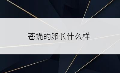 苍蝇的卵长什么样