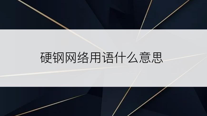 硬钢网络用语什么意思