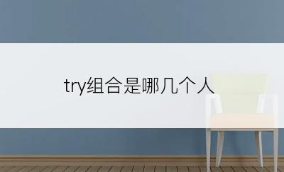 try组合是哪几个人