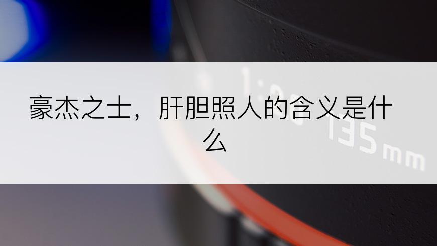 豪杰之士，肝胆照人的含义是什么