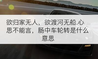 欲归家无人，欲渡河无船.心思不能言，肠中车轮转是什么意思