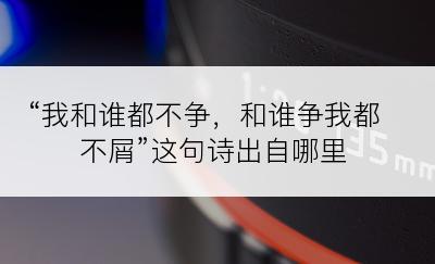 “我和谁都不争，和谁争我都不屑”这句诗出自哪里