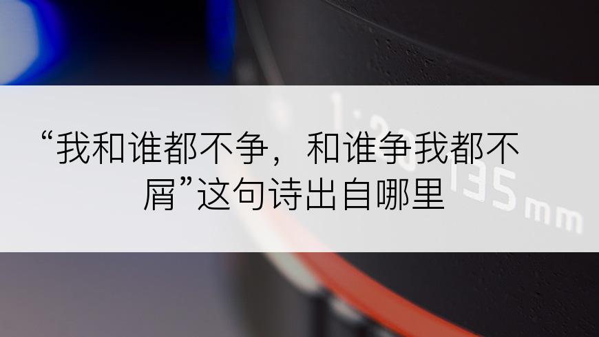 “我和谁都不争，和谁争我都不屑”这句诗出自哪里