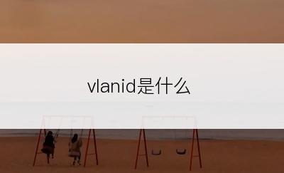 vlanid是什么