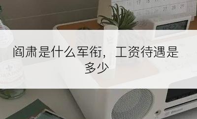 阎肃是什么军衔，工资待遇是多少