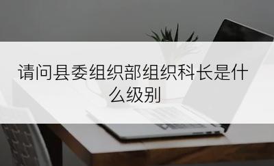 请问县委组织部组织科长是什么级别