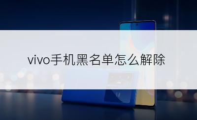 vivo手机黑名单怎么解除