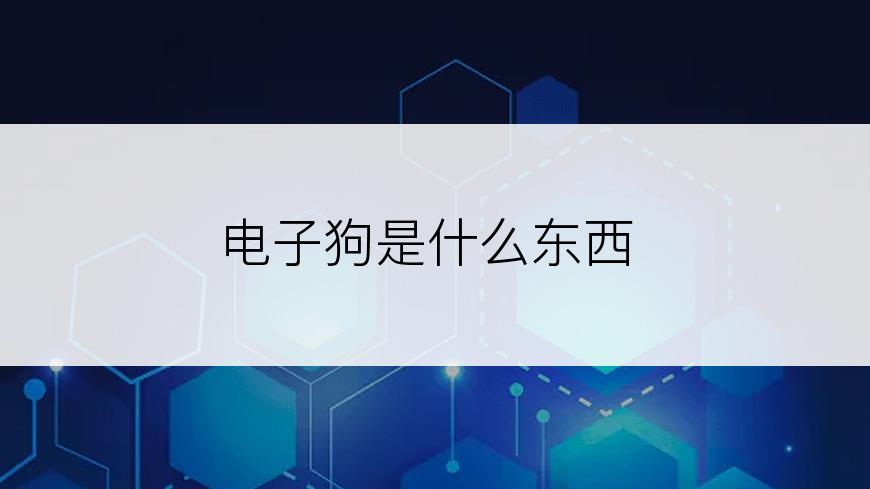 电子狗是什么东西