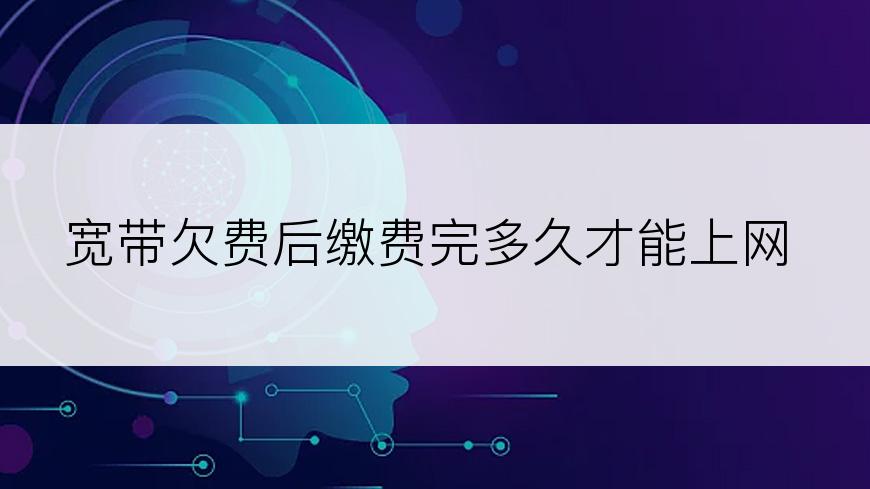 宽带欠费后缴费完多久才能上网