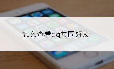 怎么查看qq共同好友