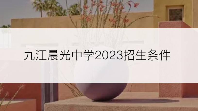 九江晨光中学2023招生条件