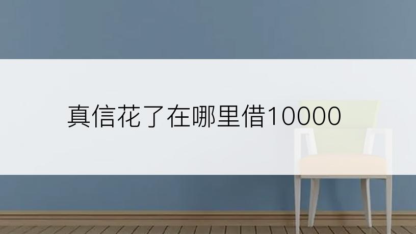 真信花了在哪里借10000