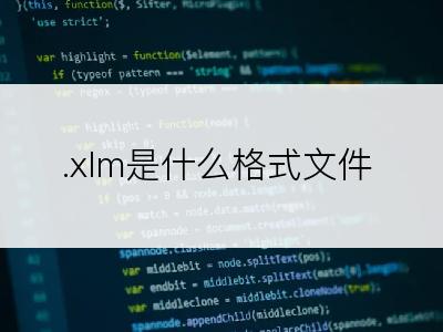 .xlm是什么格式文件