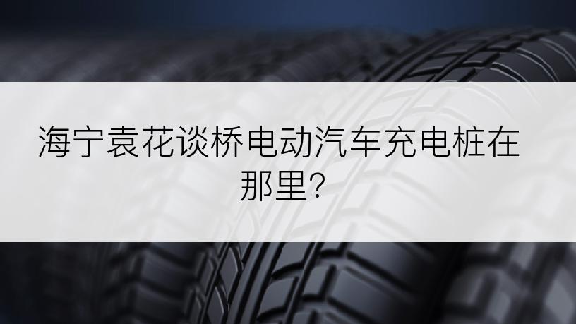 海宁袁花谈桥电动汽车充电桩在那里?