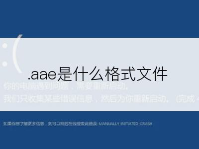 .aae是什么格式文件