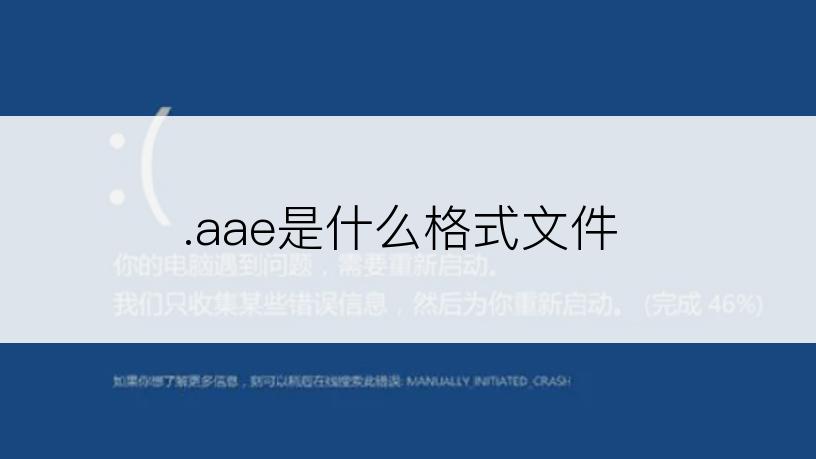 .aae是什么格式文件