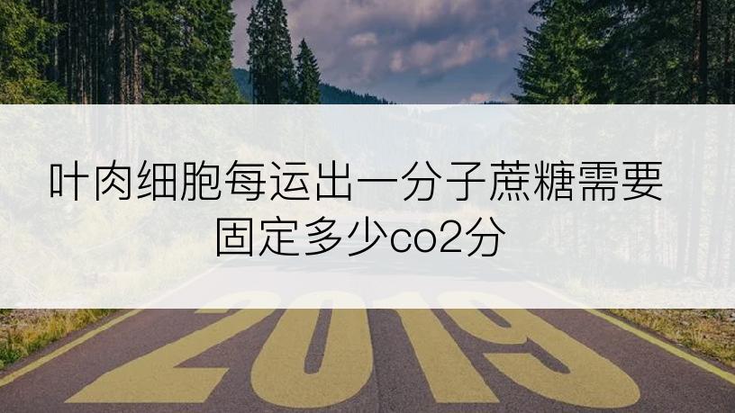 叶肉细胞每运出一分子蔗糖需要固定多少co2分