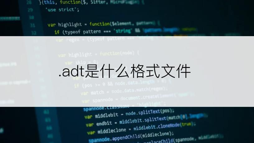 .adt是什么格式文件