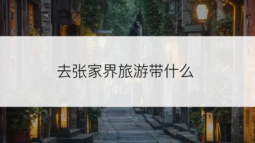 去张家界旅游带什么