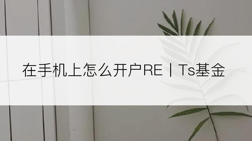 在手机上怎么开户RE丨Ts基金