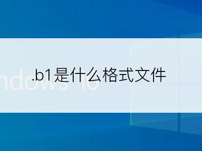 .b1是什么格式文件