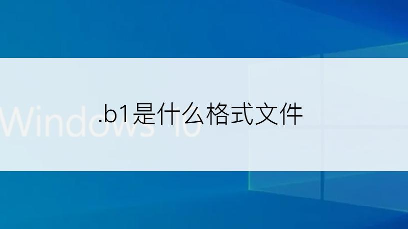 .b1是什么格式文件