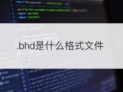 .bhd是什么格式文件