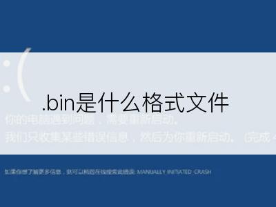 .bin是什么格式文件