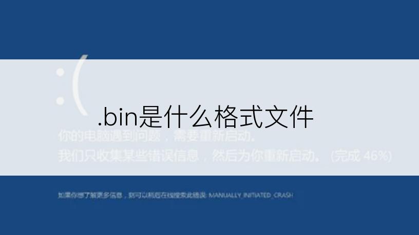 .bin是什么格式文件