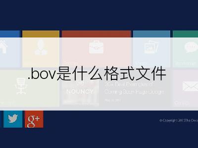 .bov是什么格式文件