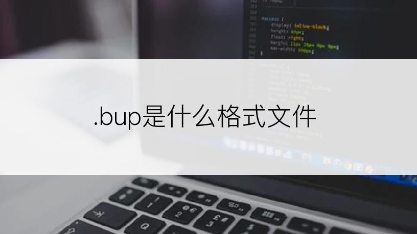 .bup是什么格式文件