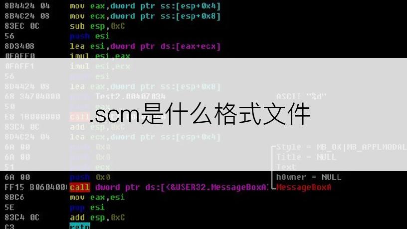 .scm是什么格式文件