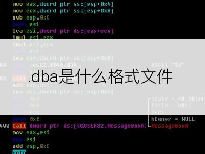 .dba是什么格式文件