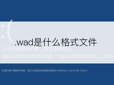 .wad是什么格式文件