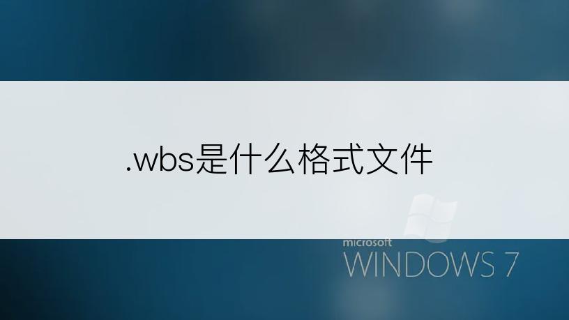 .wbs是什么格式文件