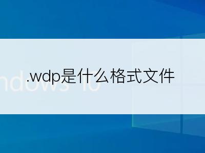 .wdp是什么格式文件